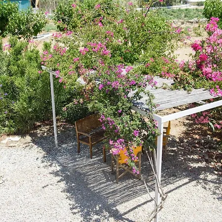 Porto 3* קטאפולה