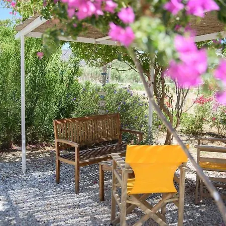 Porto קטאפולה