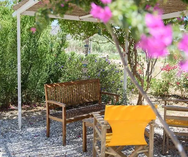 Porto كاتابولا